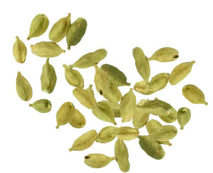 Green Cardamon