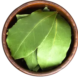 Bay Leaves